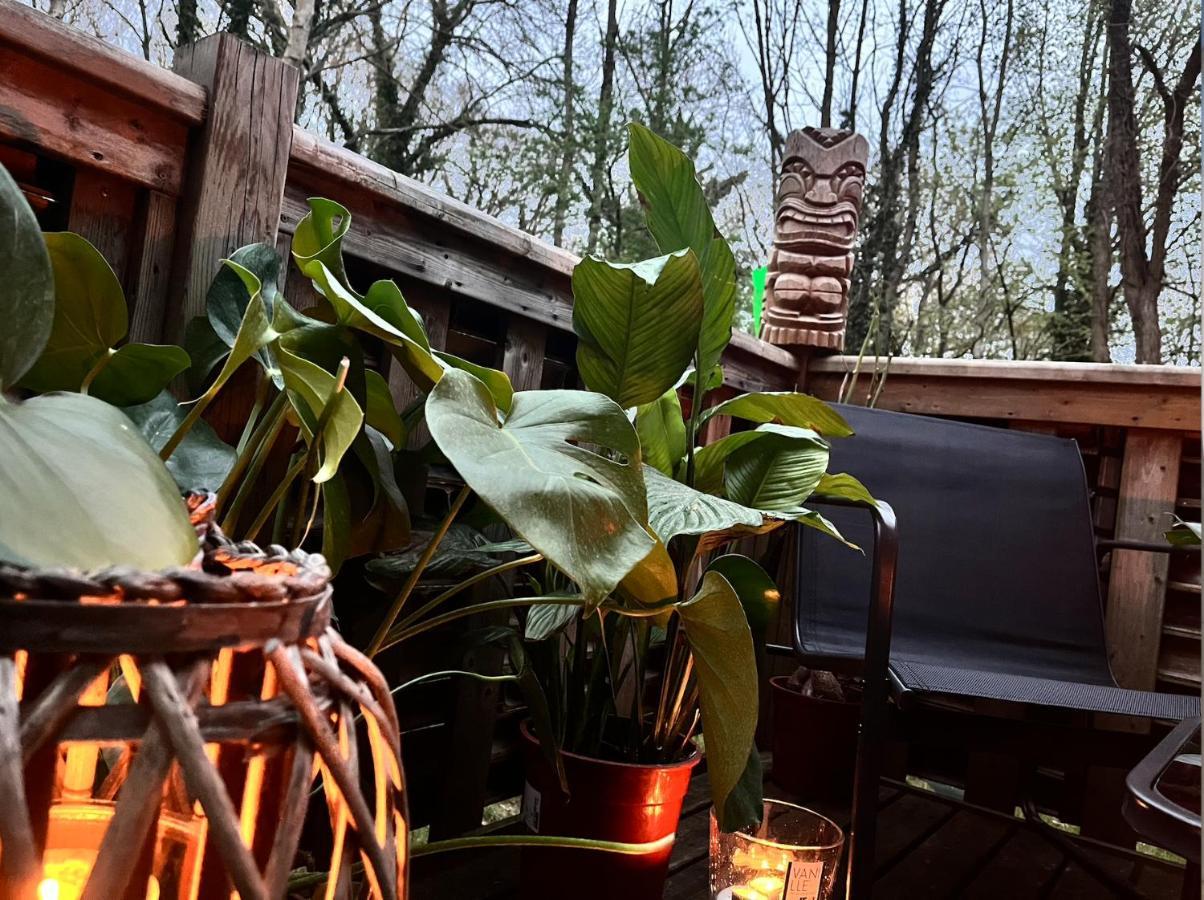 Tiki House M-Home-Climatise - Belle Parcelle ! Saint-Chéron Eksteriør billede