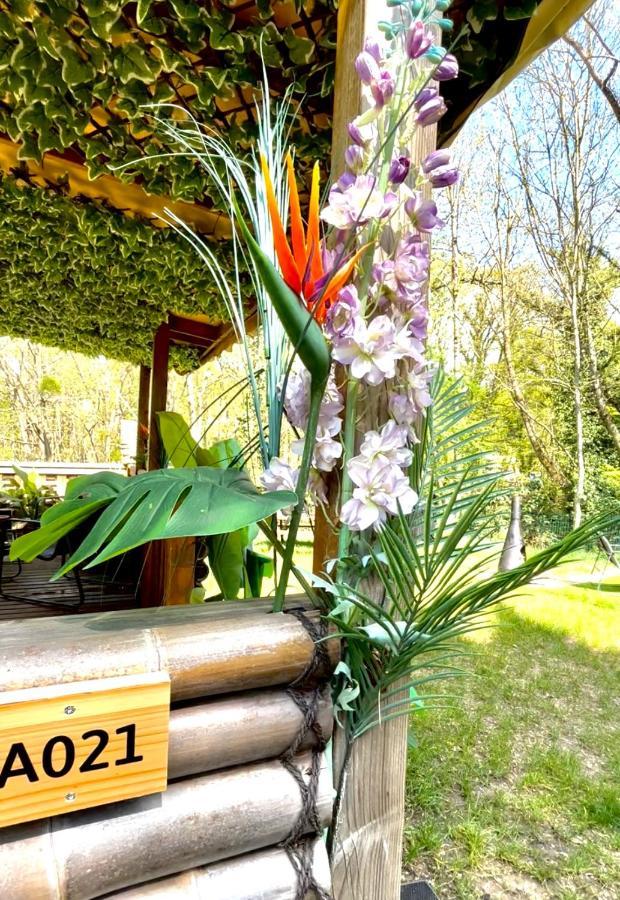 Tiki House M-Home-Climatise - Belle Parcelle ! Saint-Chéron Eksteriør billede