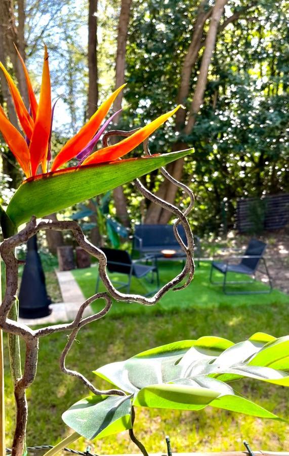 Tiki House M-Home-Climatise - Belle Parcelle ! Saint-Chéron Eksteriør billede